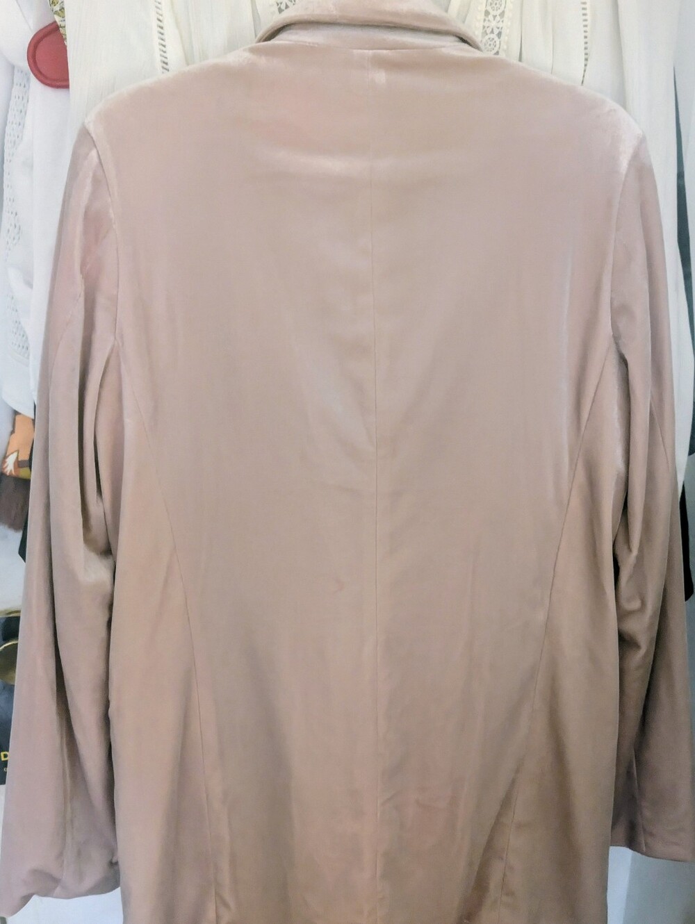 Forever 21 velvet blazer - Picture 3 of 9